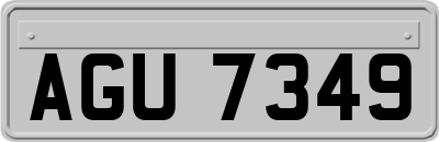 AGU7349