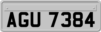 AGU7384