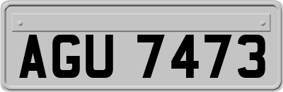 AGU7473