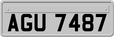 AGU7487