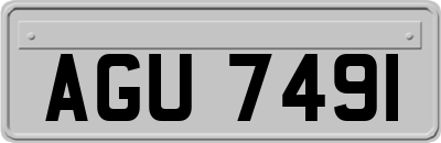 AGU7491