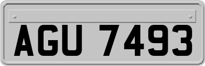 AGU7493