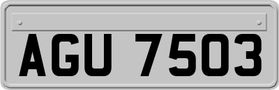 AGU7503