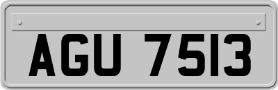 AGU7513