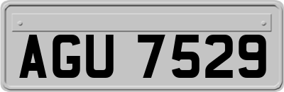 AGU7529