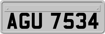 AGU7534