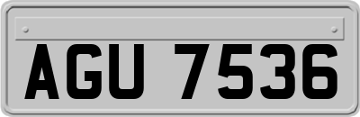 AGU7536