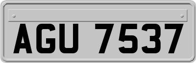 AGU7537