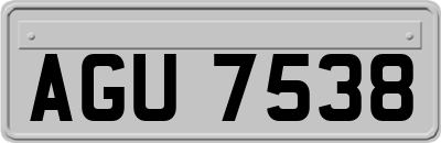 AGU7538
