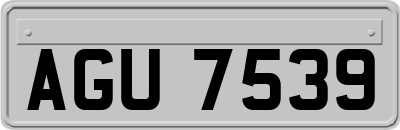AGU7539