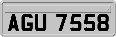 AGU7558