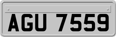 AGU7559