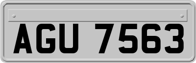 AGU7563