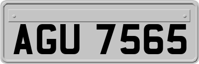 AGU7565