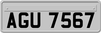 AGU7567