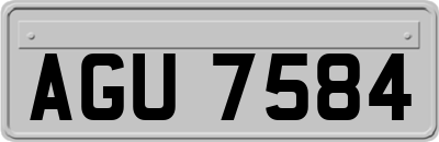 AGU7584