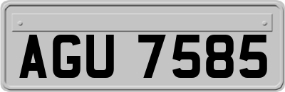 AGU7585