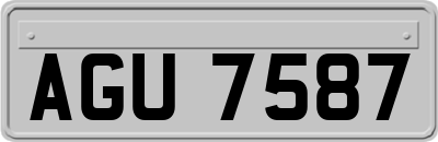 AGU7587