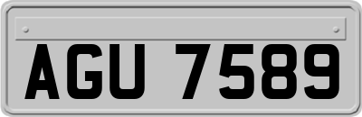 AGU7589