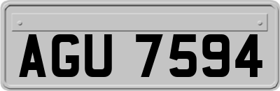 AGU7594