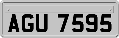 AGU7595