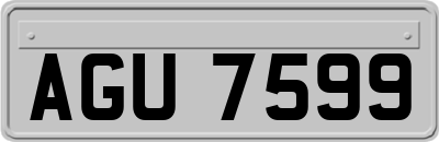 AGU7599