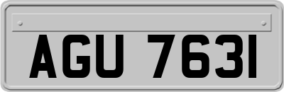 AGU7631