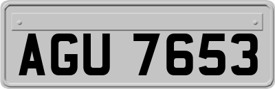 AGU7653