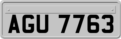 AGU7763