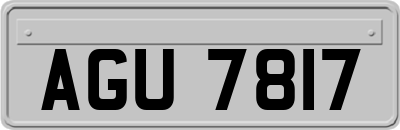 AGU7817