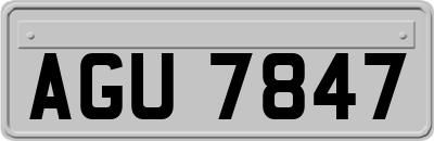 AGU7847