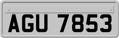 AGU7853