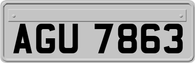 AGU7863