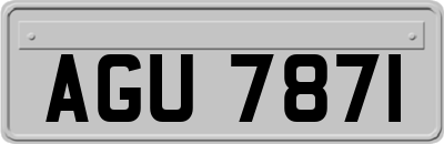 AGU7871