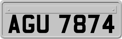 AGU7874