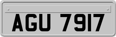 AGU7917