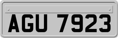 AGU7923