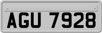AGU7928