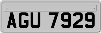 AGU7929