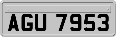AGU7953