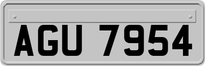 AGU7954