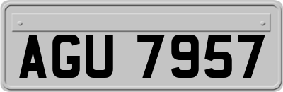AGU7957