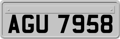 AGU7958