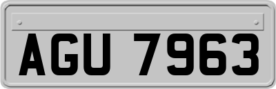 AGU7963