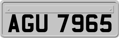 AGU7965