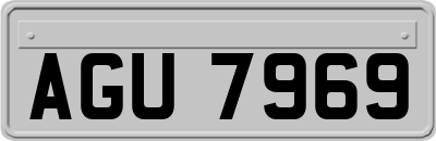 AGU7969
