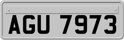 AGU7973