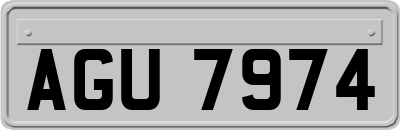 AGU7974