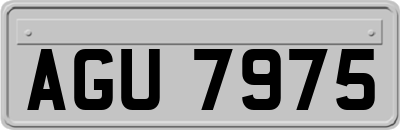 AGU7975