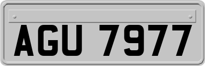 AGU7977